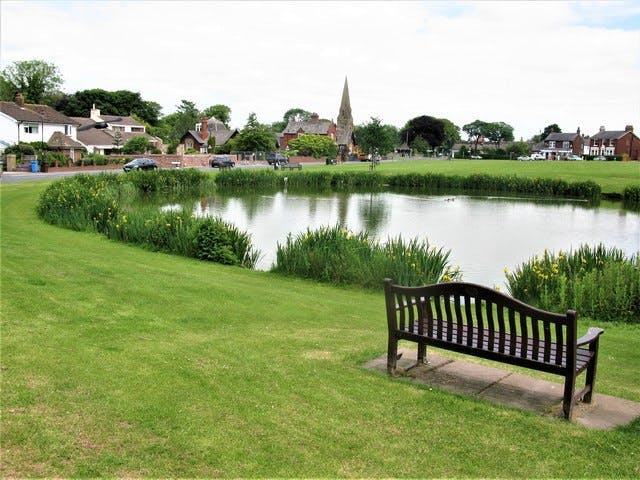 A bench to the right of the image, with freshly cut grass and a round lake surrounded by houses and buildings
