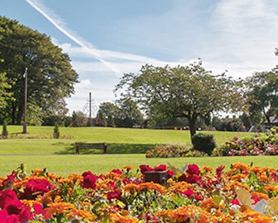 a park on a sunny day with bright flowers in the foreground and trees in the background
