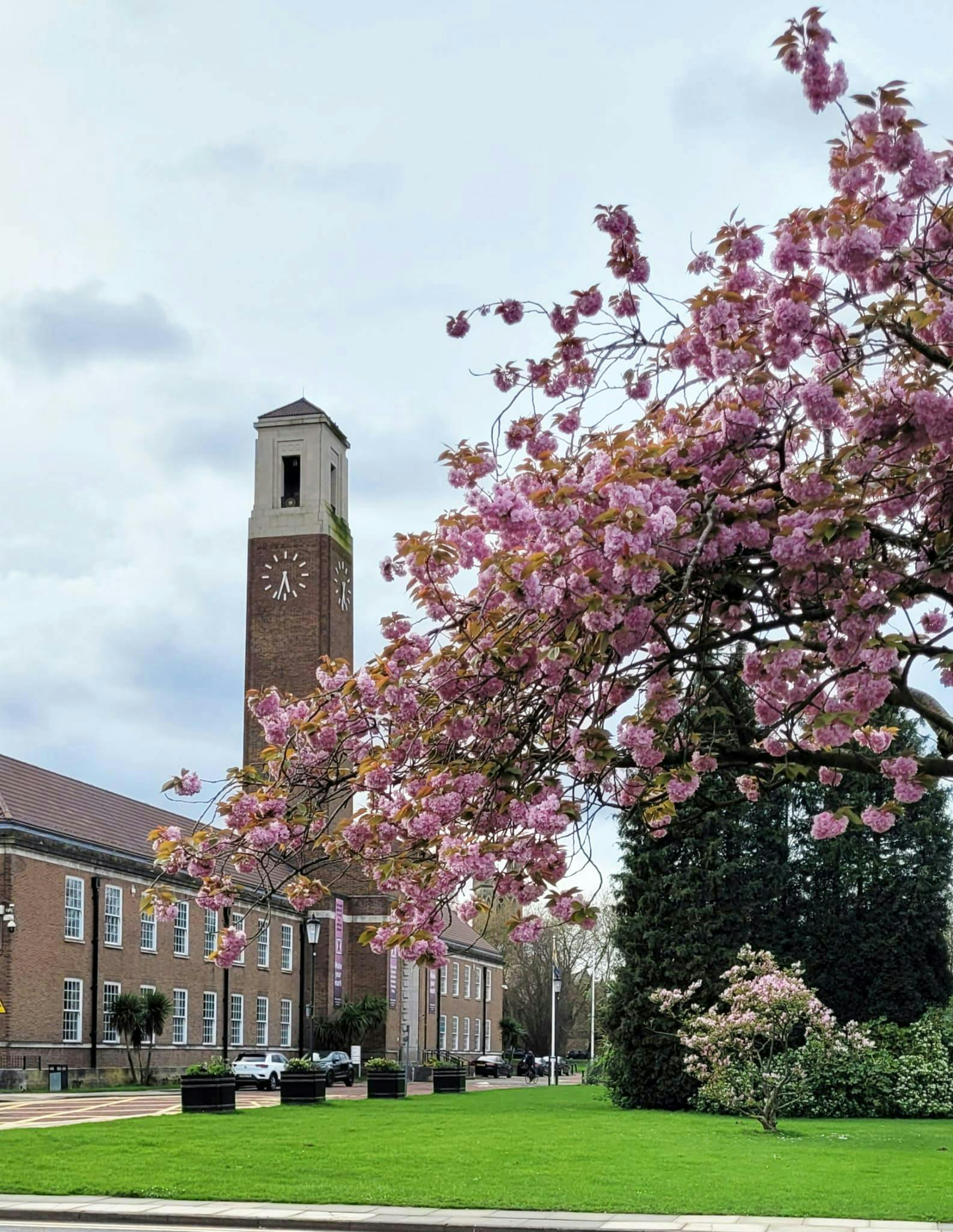 Image of the Civic Center of Salford with a blossoming tree in the foreground